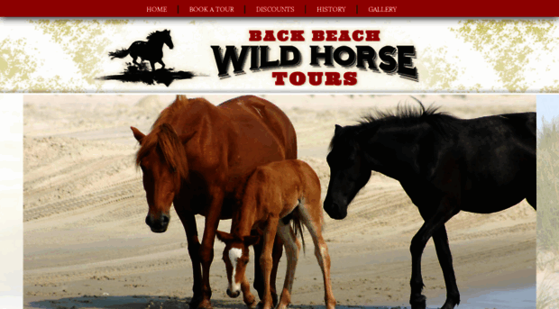 seewildhorses.com