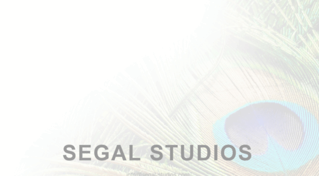 segal-studios.com