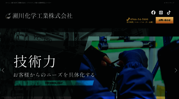 segawa-c.co.jp