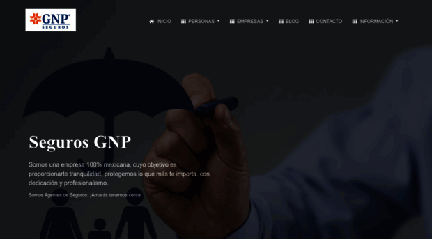 segurosgnp.com.mx