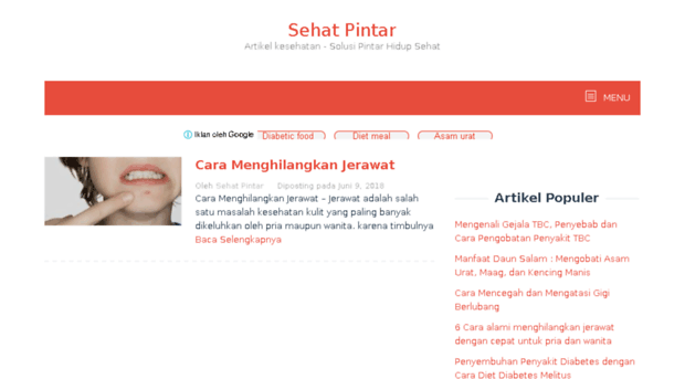 sehatpintar.com