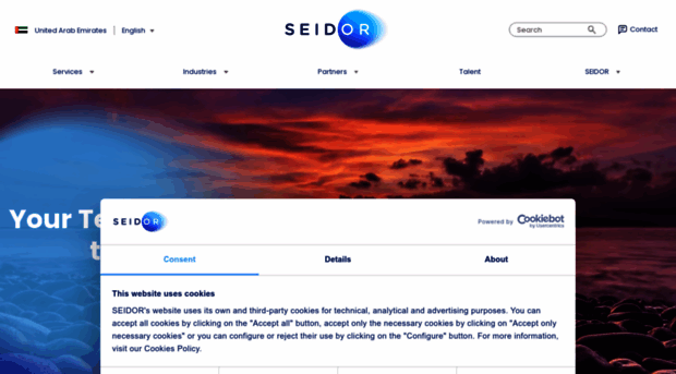 seidorprocons.com