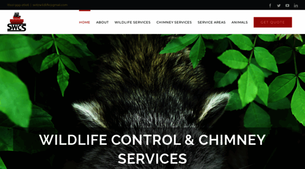 seitzwildlife.com