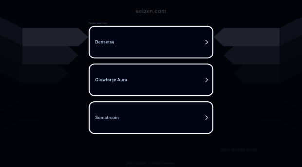 seizen.com