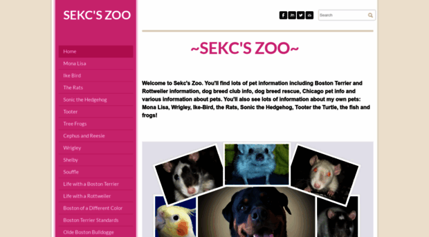 sekcszoo.weebly.com