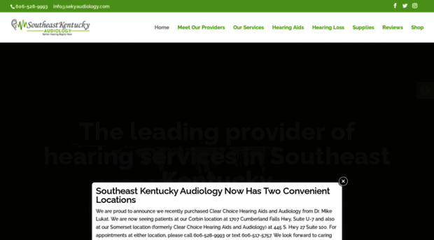 sekyaudiology.com