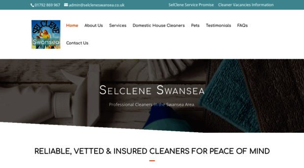 selcleneswansea.co.uk