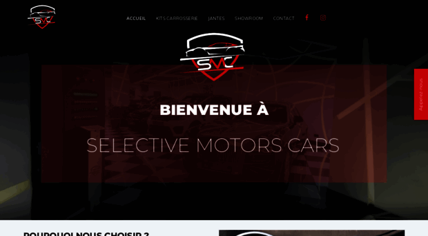 selectivemotorscars.com