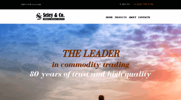 seleyco.com