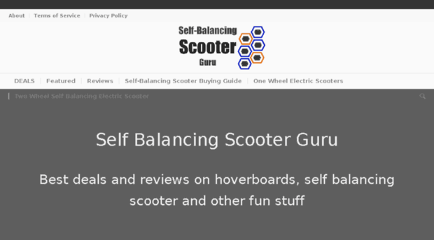 selfbalancingscooterguru.com