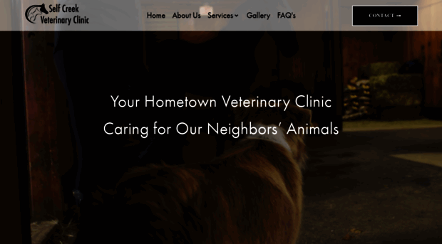 selfcreekvetclinic.com