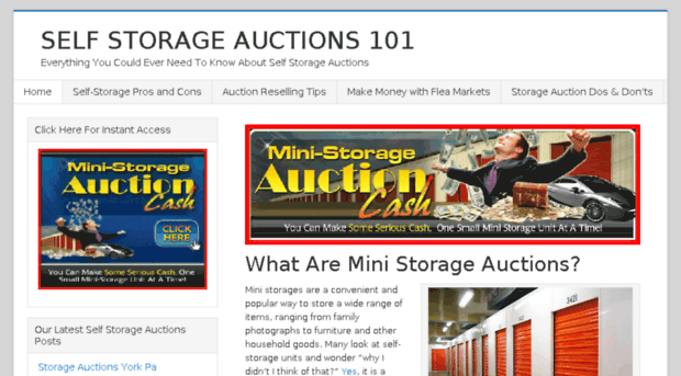 selfstorageauctions101.com