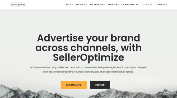 selleroptimize.com