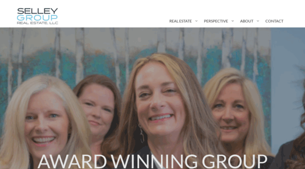 selleygroup.com