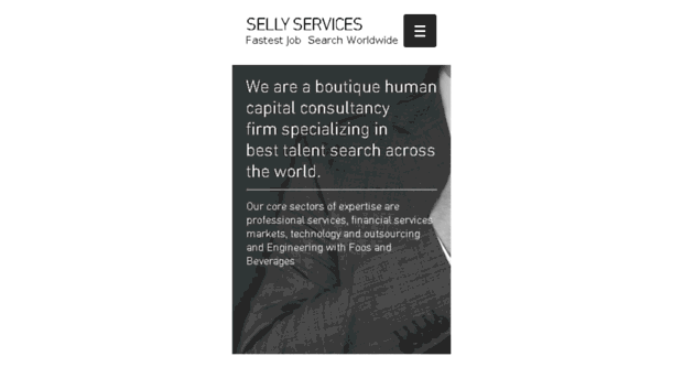 sellyservices.com