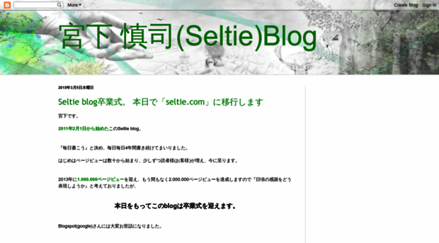 seltie.blogspot.com
