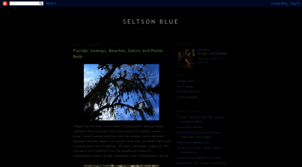 seltsonblue.blogspot.com