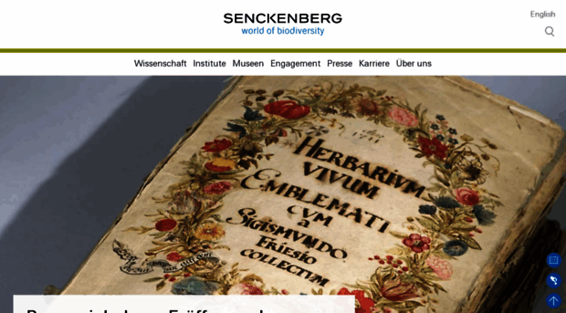 senckenberg.de