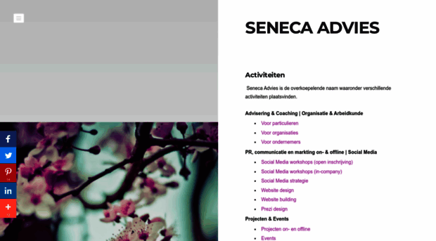 seneca-advies.nl