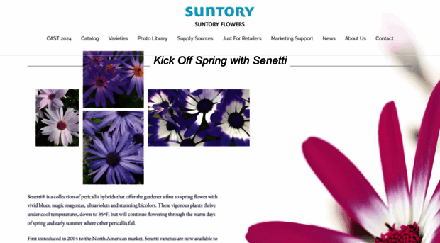 senetti.com