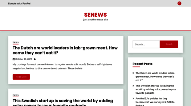 senews.info