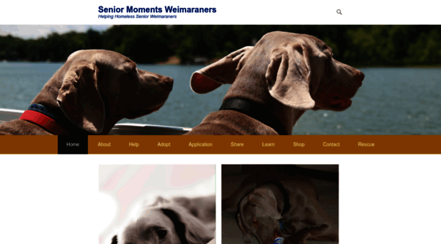 senior-moments-weimaraners.com