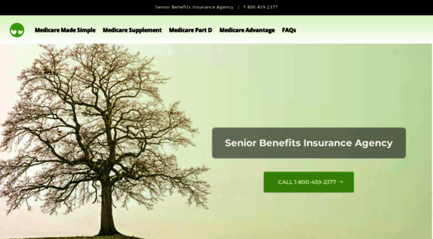 seniorbenefitsinsuranceagency.com