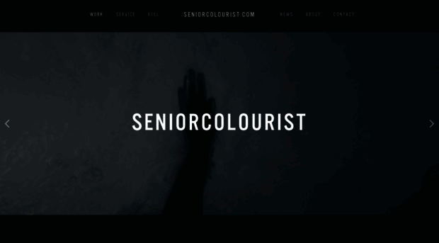 seniorcolourist.com