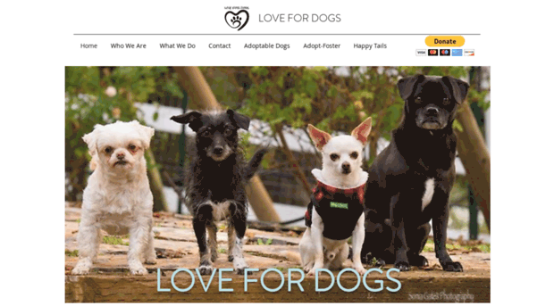 seniordogs.org