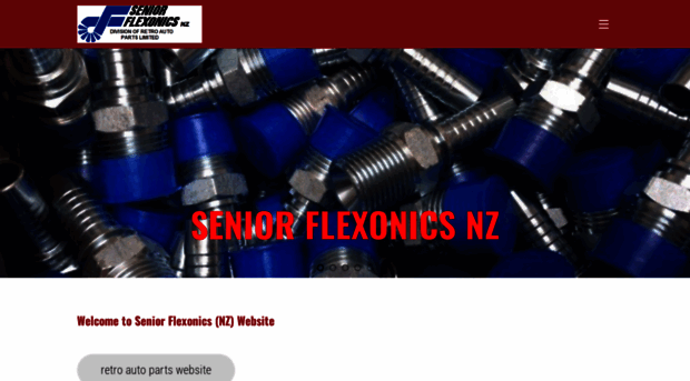 seniorflexonicsnz.com