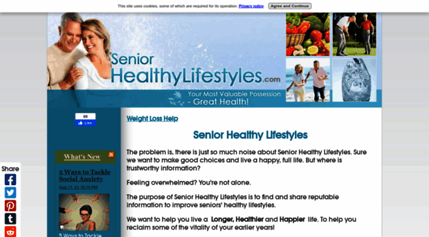 seniorhealthylifestyles.com