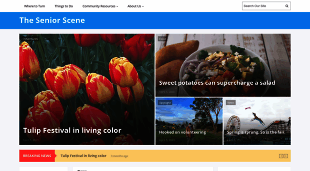 seniorscene.org