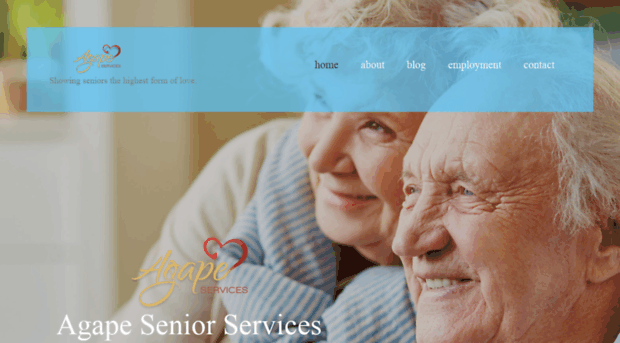 seniorservicesmadison.com