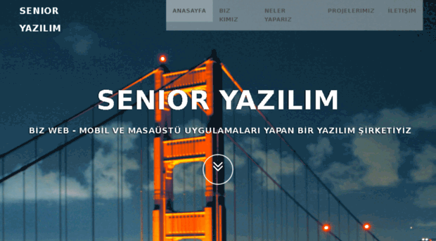 senioryazilim.com