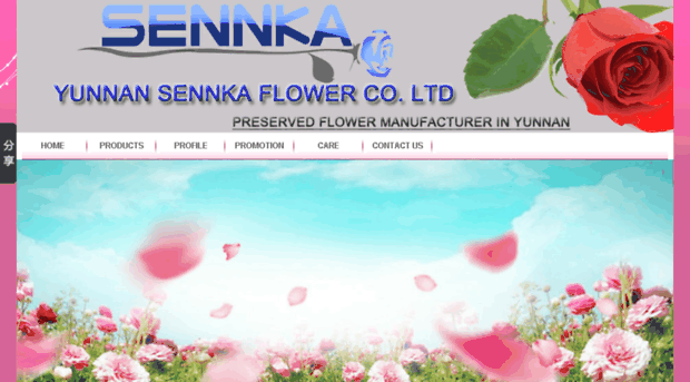 sennka.com