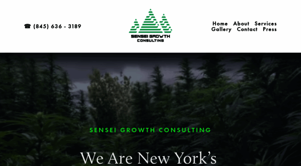 senseigrowth.com