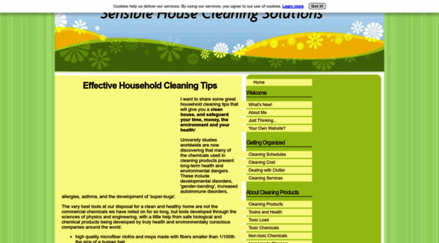 sensible-house-cleaning-solutions.com