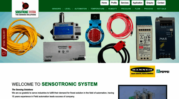 sensotronic.co.in