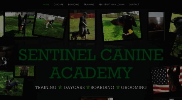 sentinelcanine.com