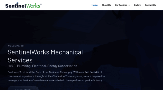 sentinelworks.net