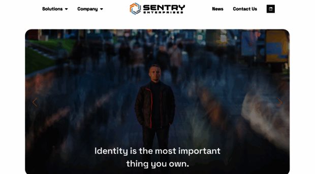 sentryenterprises.com