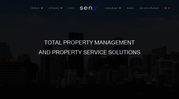senxgroup.com