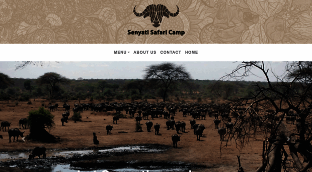 senyatisafaricampbotswana.com