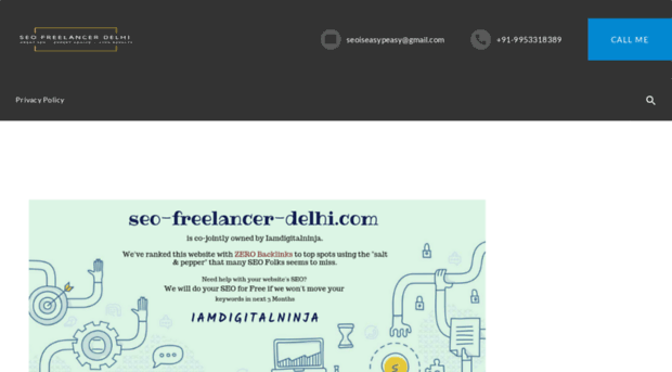 seo-freelancer-delhi.com