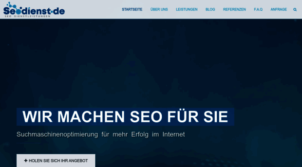 seo-online-marketing.de