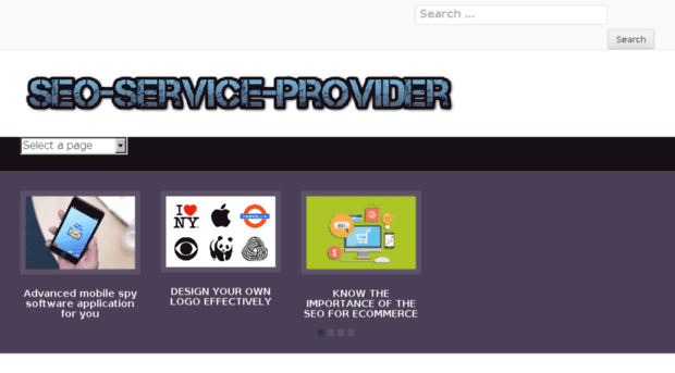 seo-service-provider.com