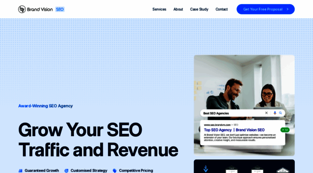 seo.brandvm.com