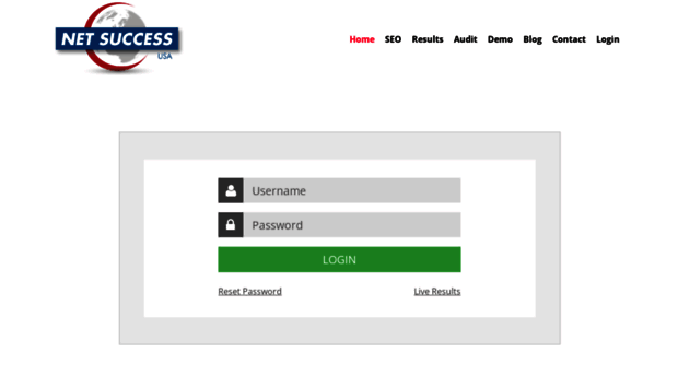 seo.netsuccessusa.com