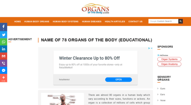 seo.organsofthebody.com