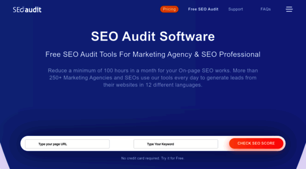 seoaudit.software